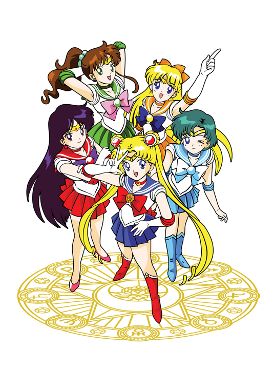 Sailor Moon 19